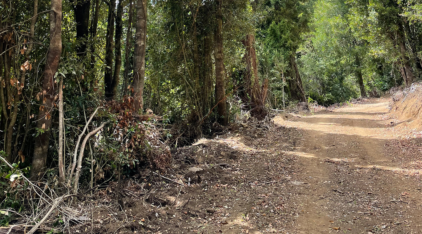 Campo Riñihue E1 — imagen 3