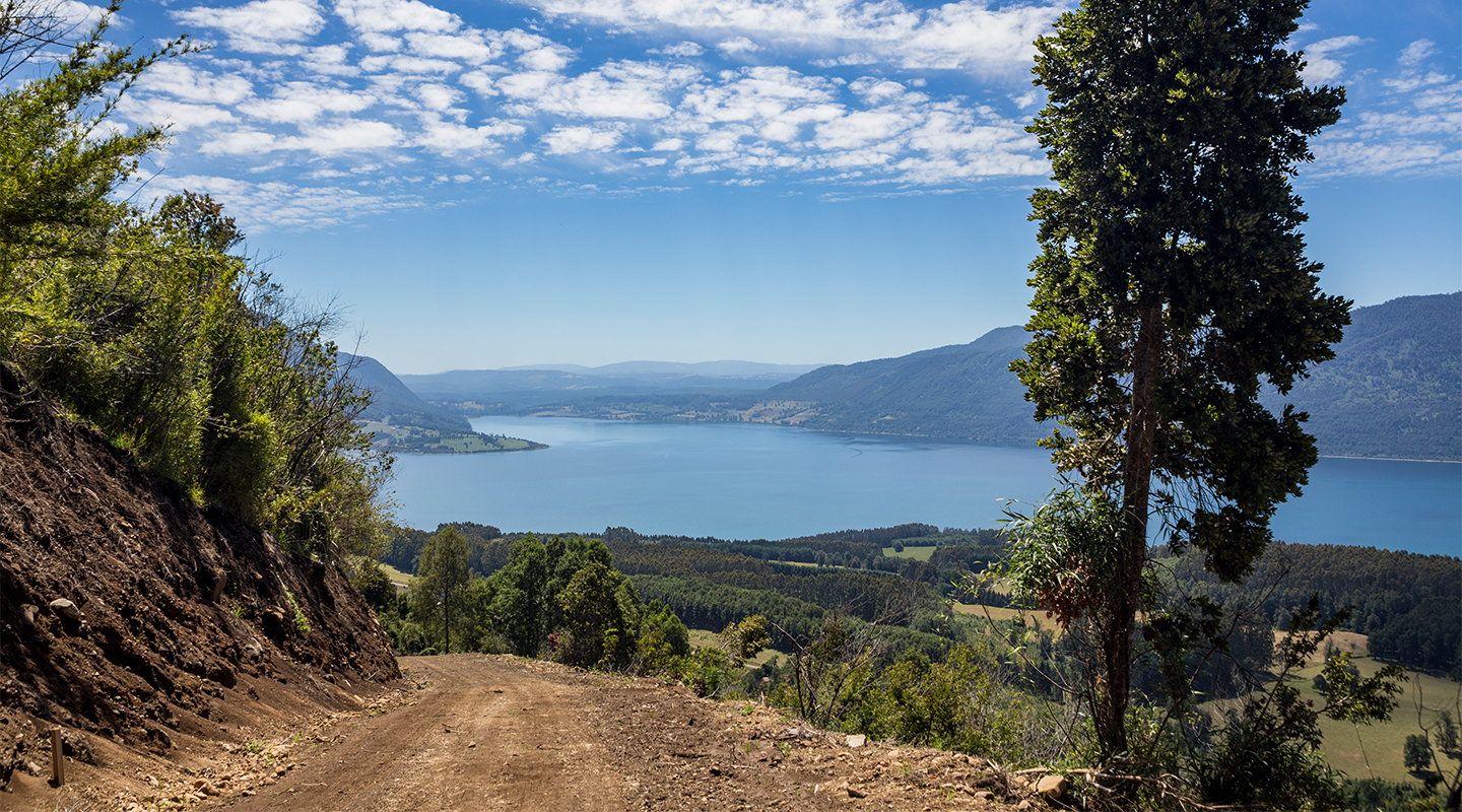 Campo Riñihue Etapa 2