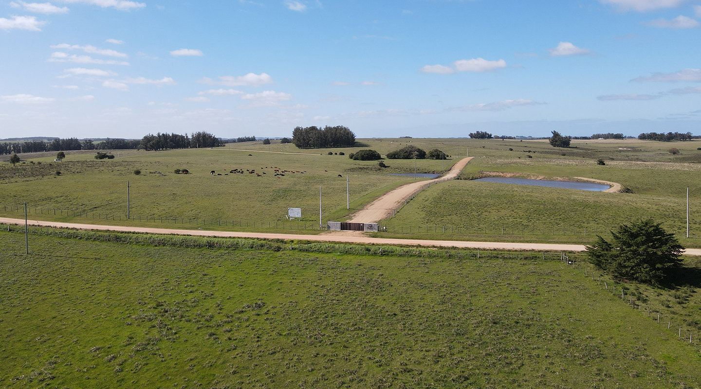 Lomas de José Ignacio — 4