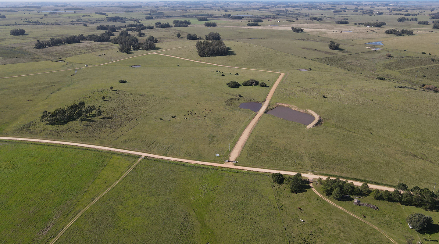 Lomas de José Ignacio — 5