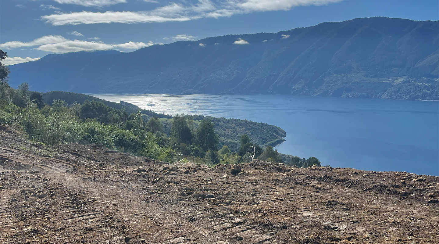 Quebrada Riñihue E1 — imagen 2