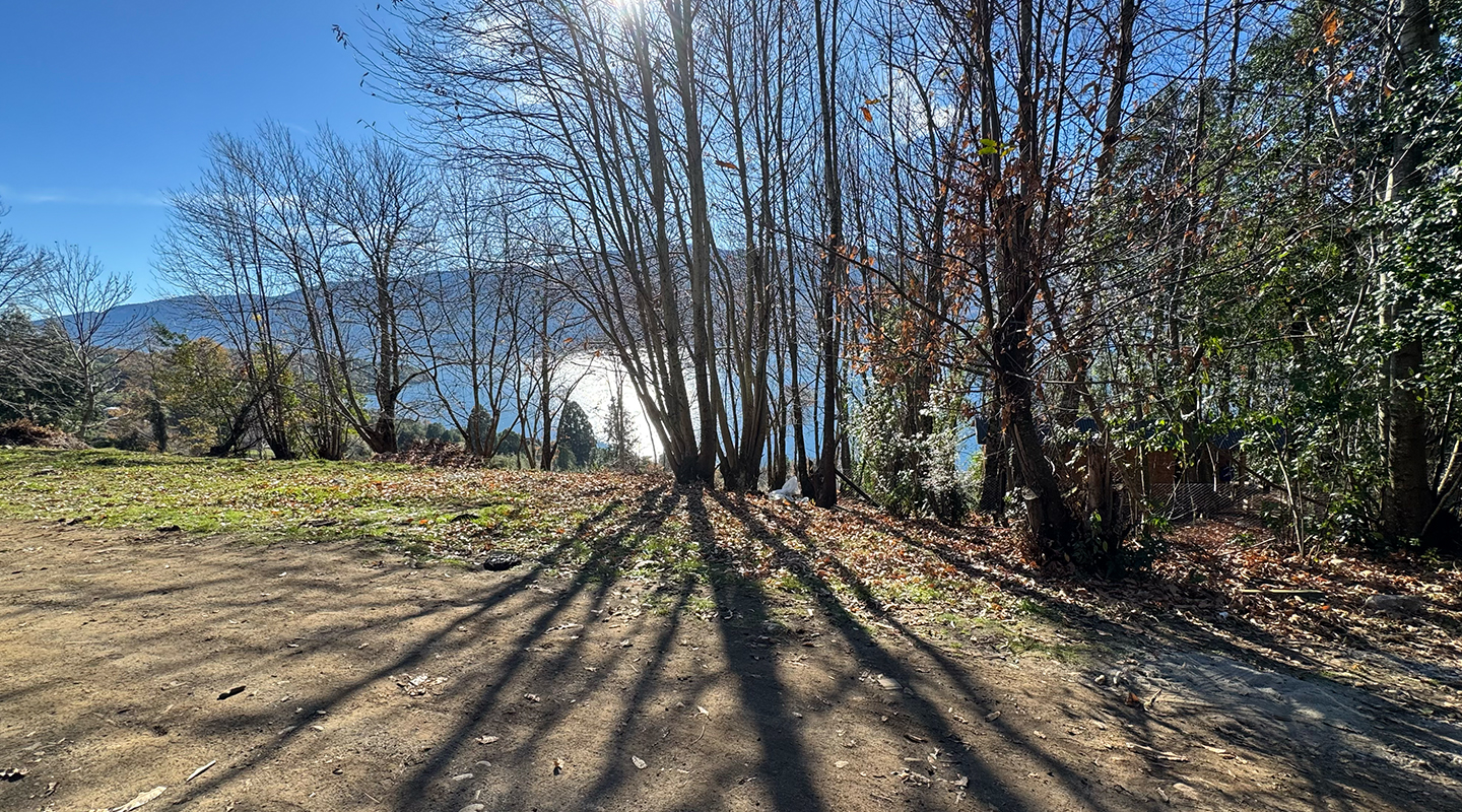 Quebrada Riñihue E1 — imagen 3