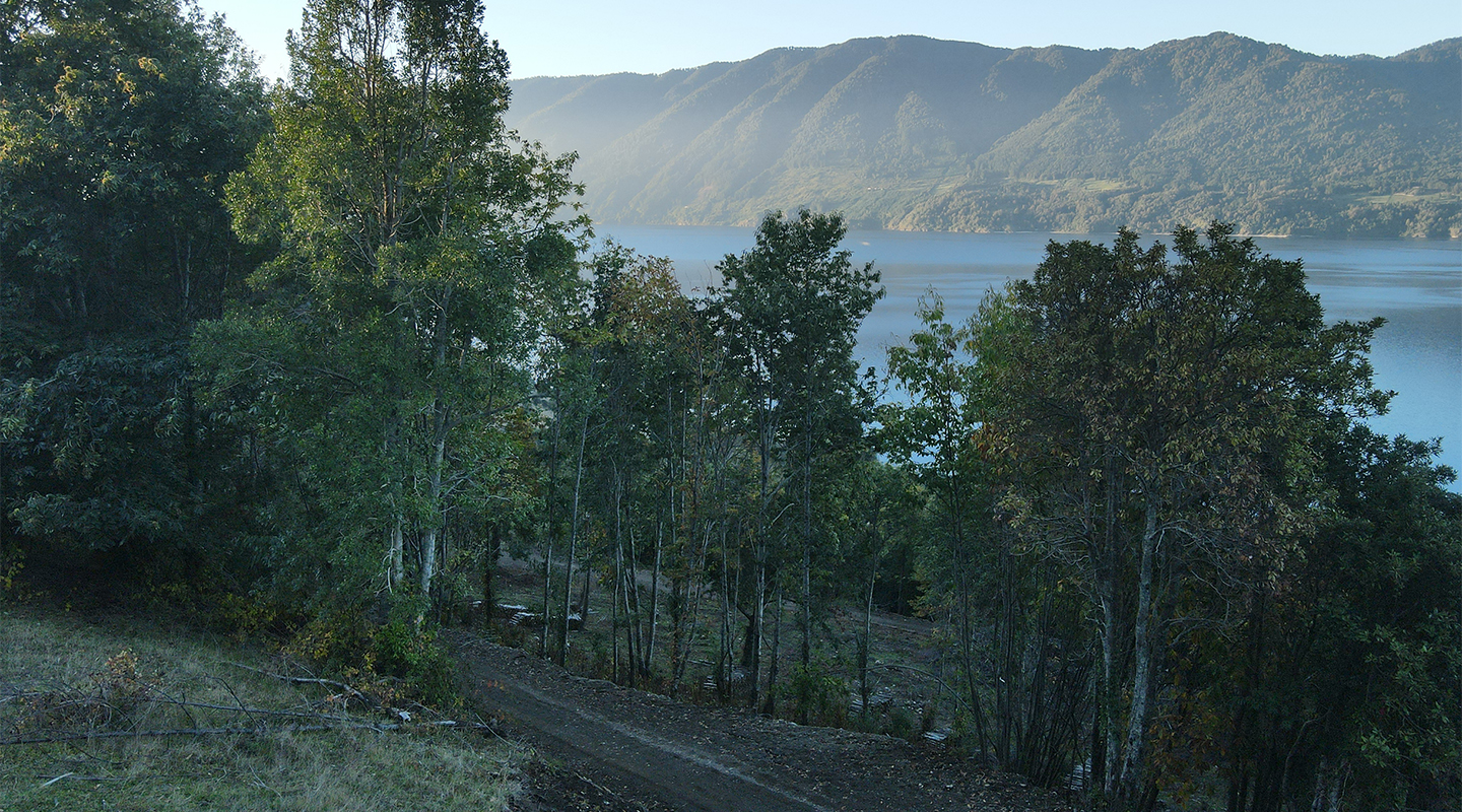 Quebrada Riñihue E1 — imagen 5