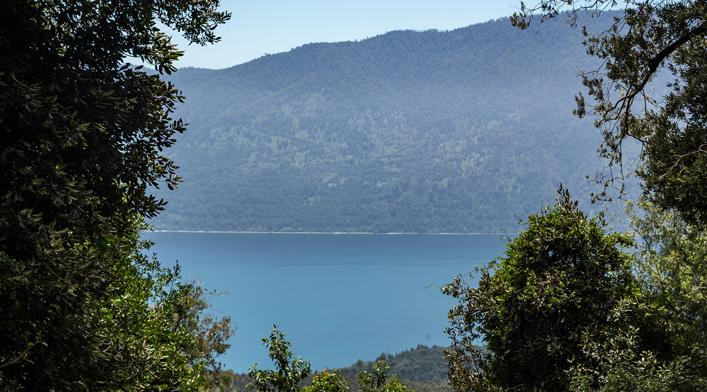 Quebrada Riñihue E2 — 5
