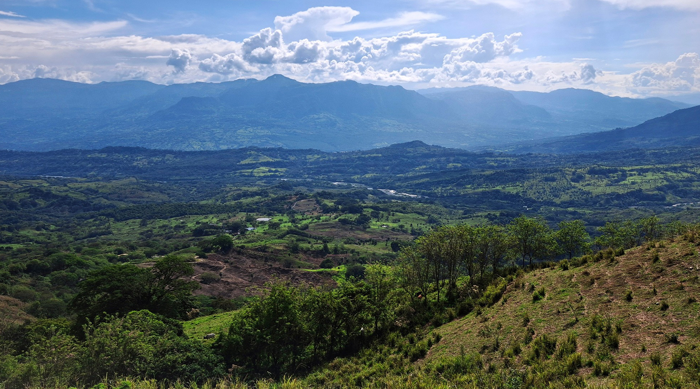 Vista del Suroeste