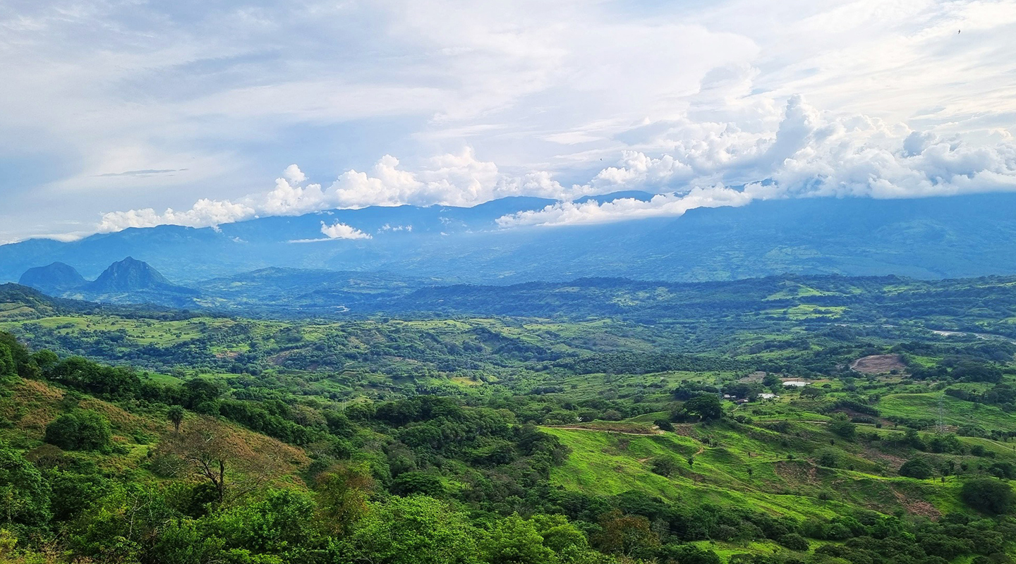 Vista del Suroeste — 5