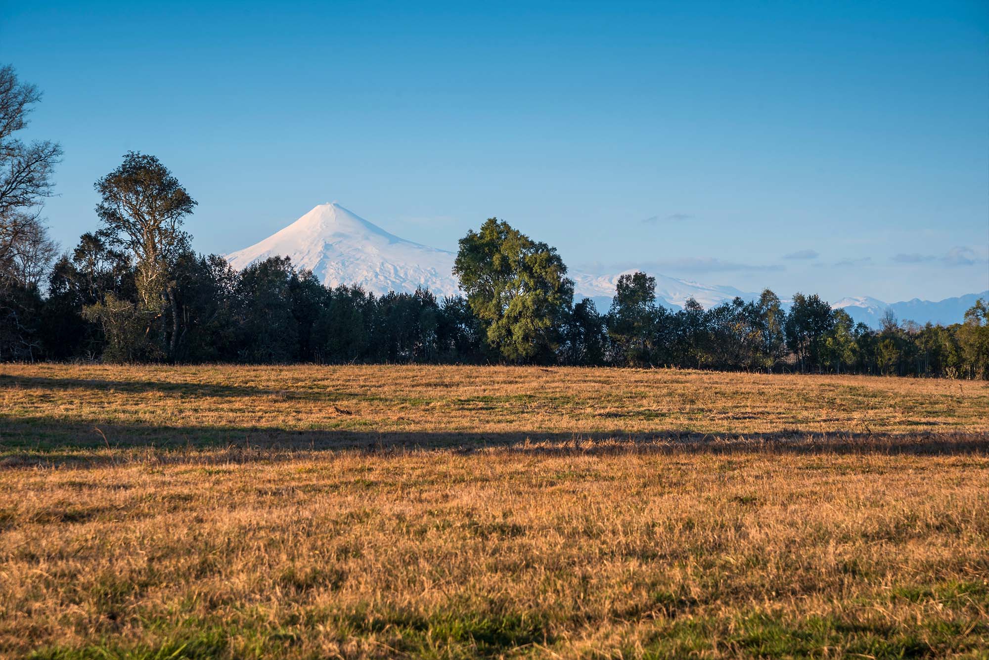 Reserva Panguipulli — 2