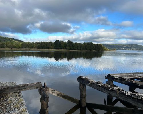 d0e3ec0a-e9b7-4478-b091-3824ad7b0625